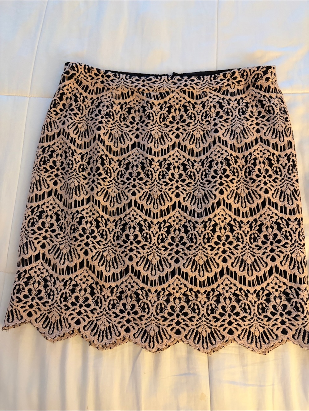 Halogen Skirt Womens Lace Overlay Straight Pencil Style Lined Scalloped Size 12